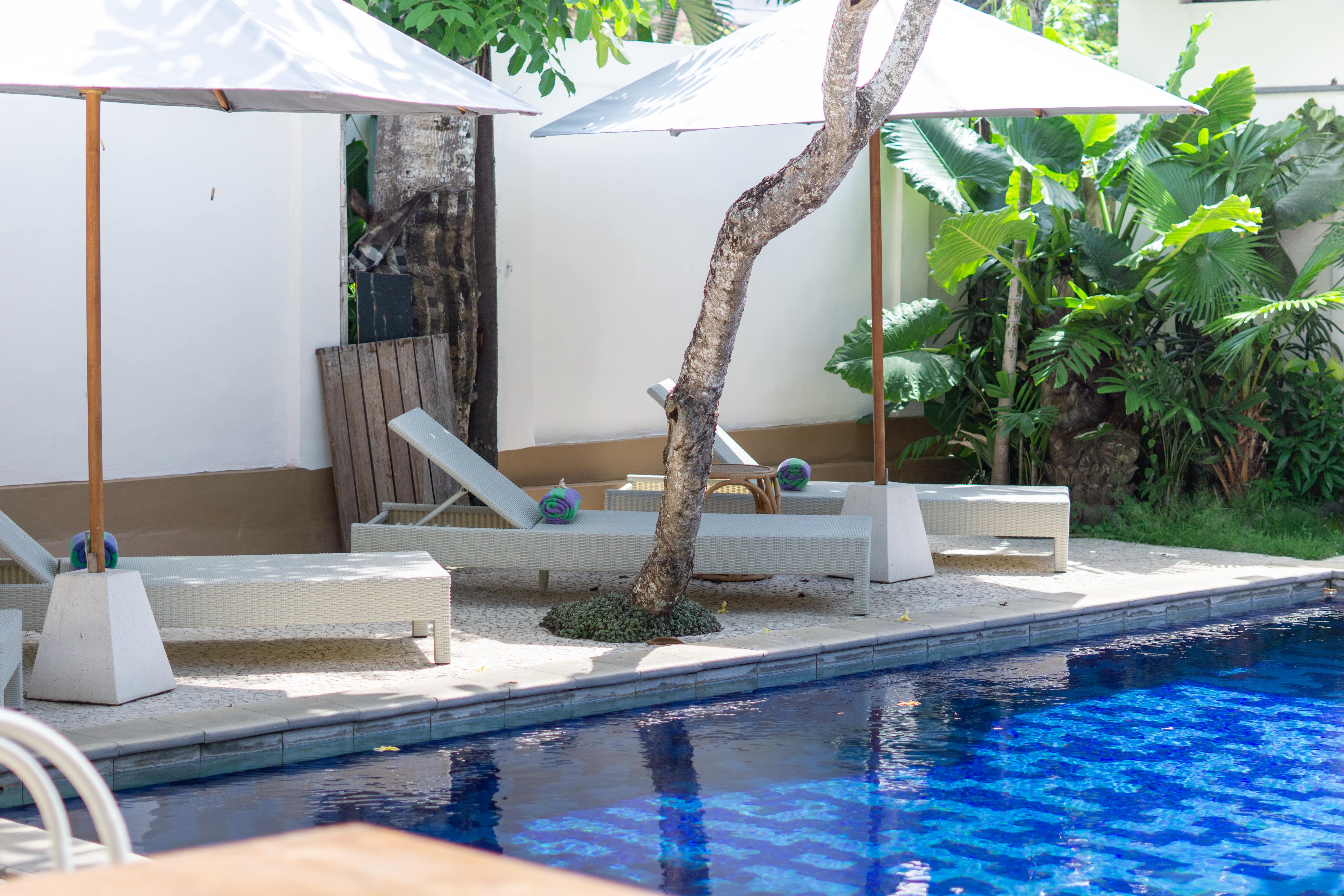 The Chillhouse Canggu